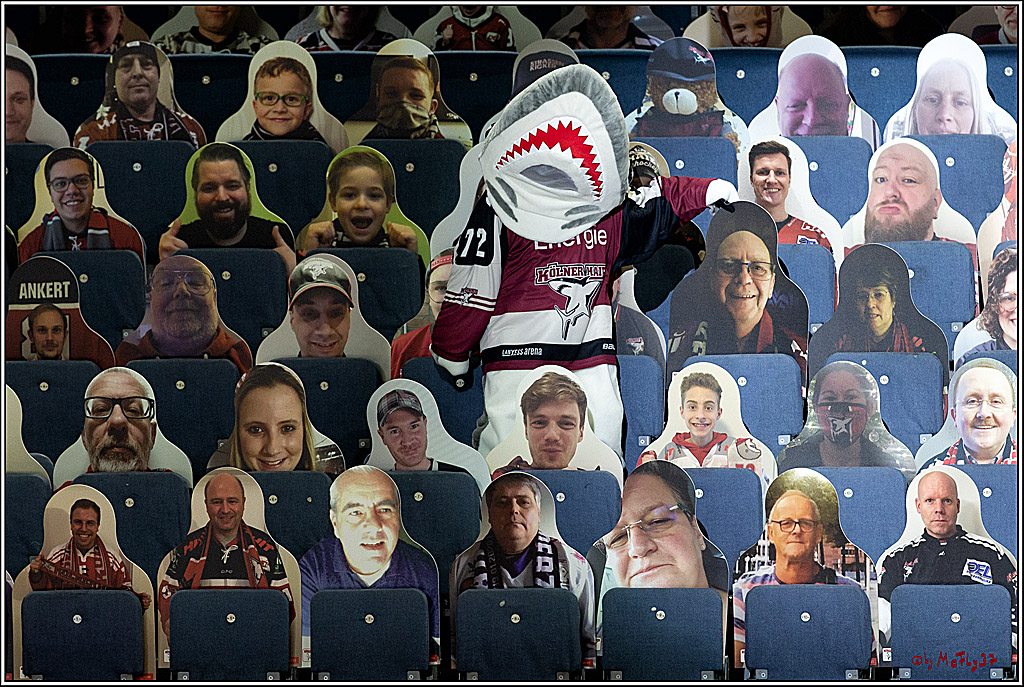 PENNY DEL;  Koelner Haie - Fischtown Pinguins Bremerhaven; Koeln, 12.02.2021